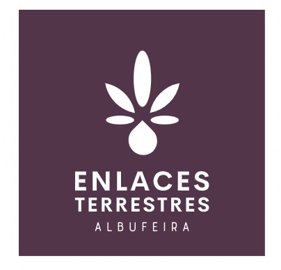 logo albufeira