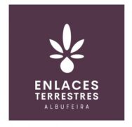 logo albufeira
